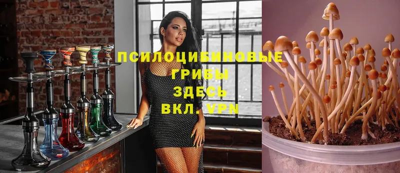 omg ссылки  Беломорск  Галлюциногенные грибы ЛСД 