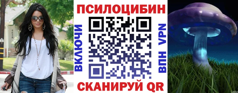 дарнет шоп  Беломорск  Псилоцибиновые грибы ЛСД 
